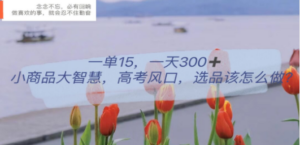 一单15，一天300+，小商品大智慧，高考风口，选品该怎么布局