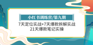 小红书训练营/第九期：7天定位实战+7天爆款拆解实战，21天爆款笔记实操