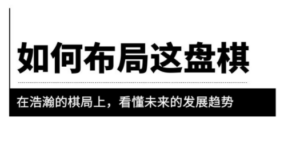 某公众号付费文章《如何布局这盘棋》在浩瀚的棋局上，看懂未来的发展趋势 ...