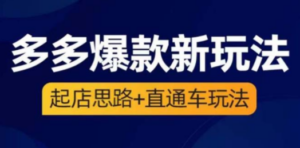 2023拼多多爆款·新玩法：起店思路+直通车玩法（3节精华课）
