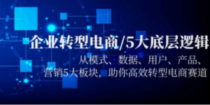 企业转型电商/5大底层逻辑，从模式 数据 用户 产品 营销5大板块，高效转型