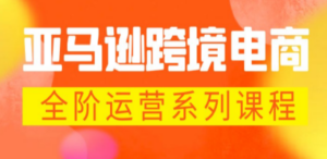 亚马逊跨境-电商全阶运营系列课程 每天10分钟，让你快速成为亚马逊运营高手 ...