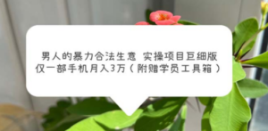男人的暴力合法生意实操项目巨细版：仅一部手机月入3w（附赠学员工具箱） ...
