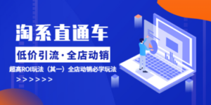 淘系直通车《低价·引流 全店·动销》超高ROI玩法（其一）全店动销必学玩法 ...