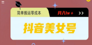 0粉无门槛暴力起号美女号，简单搬运月入1w＋