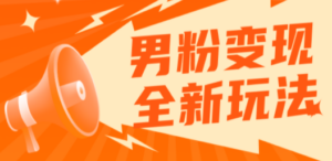 2023男粉落地项目落地日产500-1000，高客单私域成交 小白上手无压力