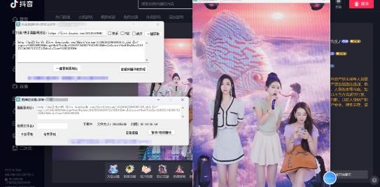 最新电脑版抖音/快手/B站直播源获取+直播间实时录制+直播转播【软件+教程】 ...