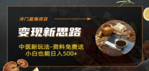 冷门蓝海项目-中医新玩法-资料免费送小白也能日入500+