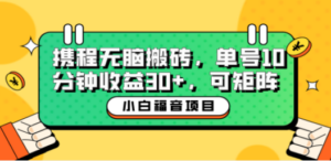 小白新手福音：携程无脑搬砖项目，单号操作10分钟收益30+，可矩阵可放大