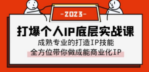 打爆·个人IP底层实战课，成熟专业的打造IP技能 全方位带你做成能商业化IP