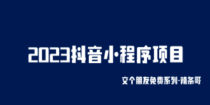 2023抖音小程序项目，变现逻辑非常很简单，当天变现，次日提现！