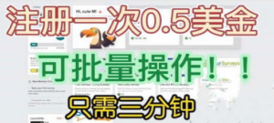 国外项目注册一次0.5美金 只需三分钟无脑操作 可批量放大 小白工作室福利