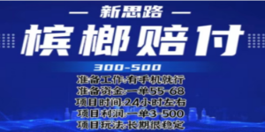 最新外卖槟榔赔付思路，一单收益至少300+（仅揭秘）