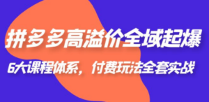 拼多多-高溢价 全域 起爆，6大课程体系，付费玩法全套实战