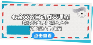 《心金文案自动成交课程》 教你写出既能深入人心、又能吸金的文案