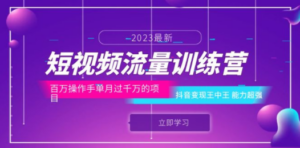 短视频流量训练营：百万操作手单月过千万的项目：抖音变现王中王 能力超强 ...