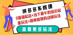 拼多多系统课：0基础起店+当下最牛的低价起量玩法+简单粗暴的动销玩法