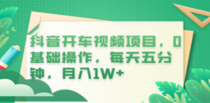 抖音开车视频项目，0基础操作，每天五分钟，月入1W+