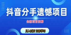 自媒体抖音分手遗憾项目私域项目拆解