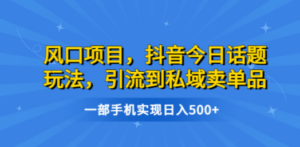 风口项目，抖音今日话题玩法，引流到私域卖单品，一部手机实现日入500+