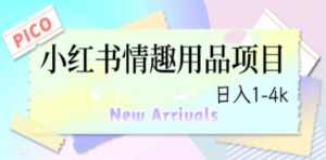 最新小红书情趣用品项目，日入1-4k