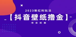 2023新红利玩法：抖音壁纸撸金项目
