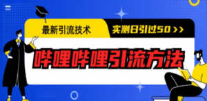 最新引流技术：哔哩哔哩引流方法，实测日引50+