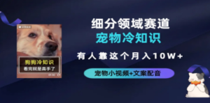 不起眼的抖音细分赛道-宠物冷知识，一段宠物视频配文案，有人靠这个月入10w ...
