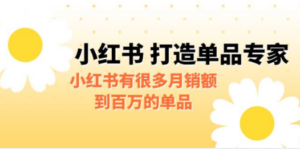 某公众号付费文章《小红书 打造单品专家》小红书有很多月销额到百万的单品 ...