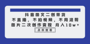 抖音图文二创带货，不直播，不拍视频，不用混剪，图片二次创作变现 月入10w ...