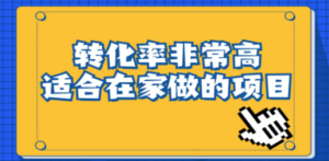 小红书虚拟电商项目：从小白到精英（视频课程+交付手册）