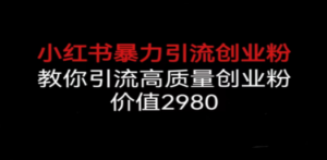 小红书暴力引流创业粉，教你引流高质量创业粉，价值2980