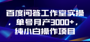 百度问答工作室实操，单号月产3000+，纯小白操作项目