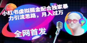 小红书虚拟掘金配合独家首发暴力引流思路，月入过万