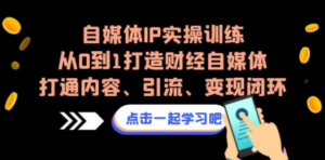 自媒体IP实操训练，从0到1打造财经自媒体，打通内容、引流、变现闭环