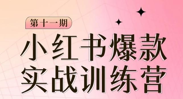 从零到一，掌握小红书爆款秘籍，，从定位到起号到变现让你轻松变身博主达人 ...