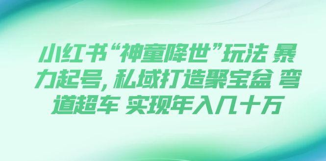 小红书“神童降世”玩法 暴力起号,私域打造聚宝盆 弯道超车 实现年入几十万 ...