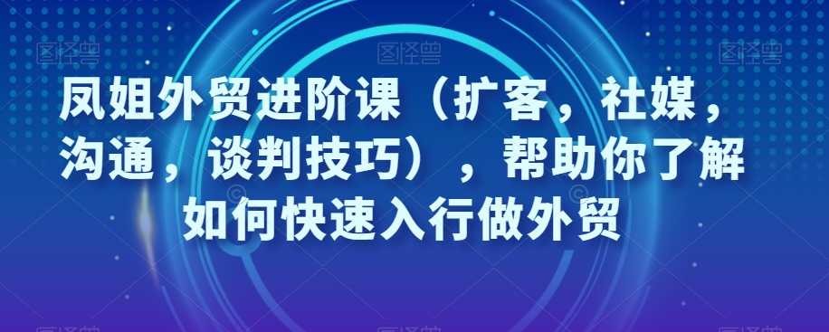 凤姐外贸进阶课（扩客，社媒，沟通，谈判技巧），帮助你了解如何快速入行做外贸 ...