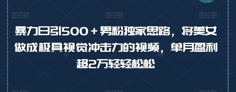 男粉独家思路：极具视觉冲击力的美女视频变现，单月盈利超2万轻松达成【揭秘】 ...
