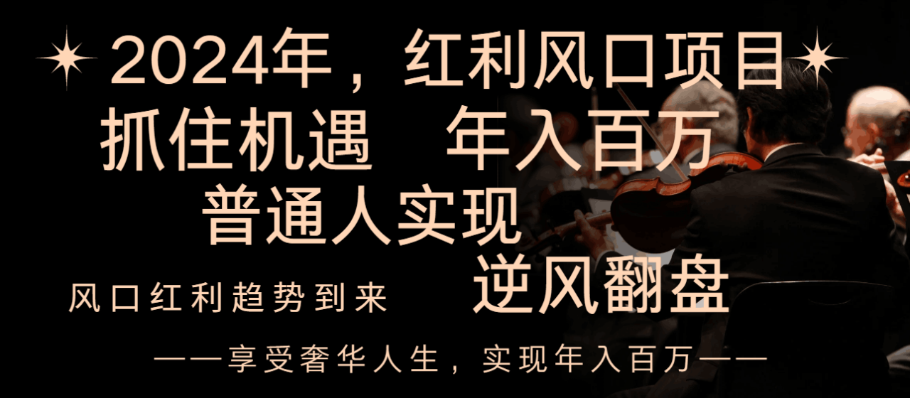 2024红利风口项目来袭，享受第一波红利，逆风翻盘普通人也能实现，年入百万 ...