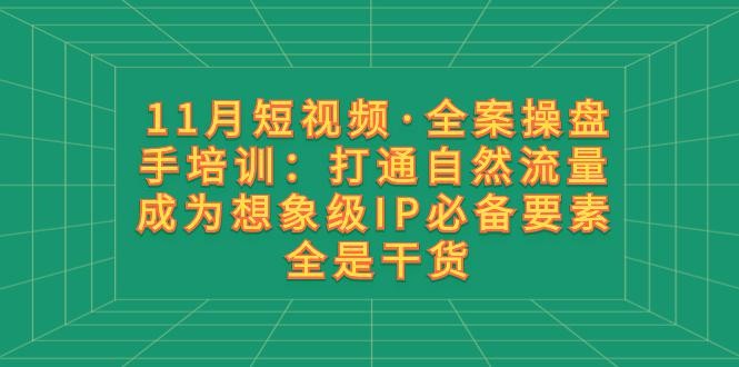 11月短视频·全案操盘手培训：打通自然流量 成为想象级IP必备要素 全是干货 ...