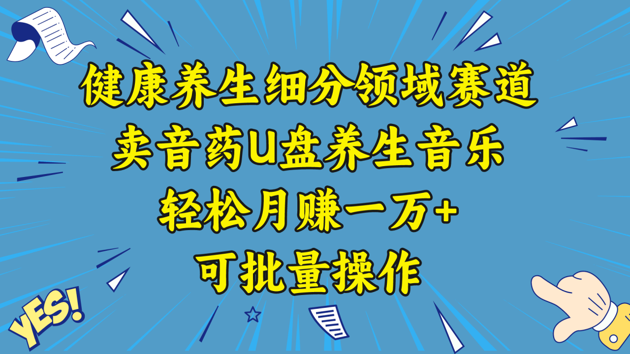 五行音乐养生：细分领域赛道卖音药U盘，打造轻松月赚一万+的健康养生项目 ...
