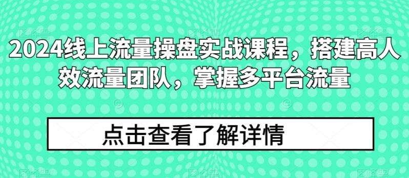 《2024年流量高手养成指南》：掌握顶尖流量团队建设技巧，探索全平台流量的秘密 ...
