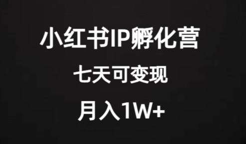 1.jpeg