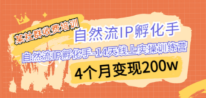 1.png