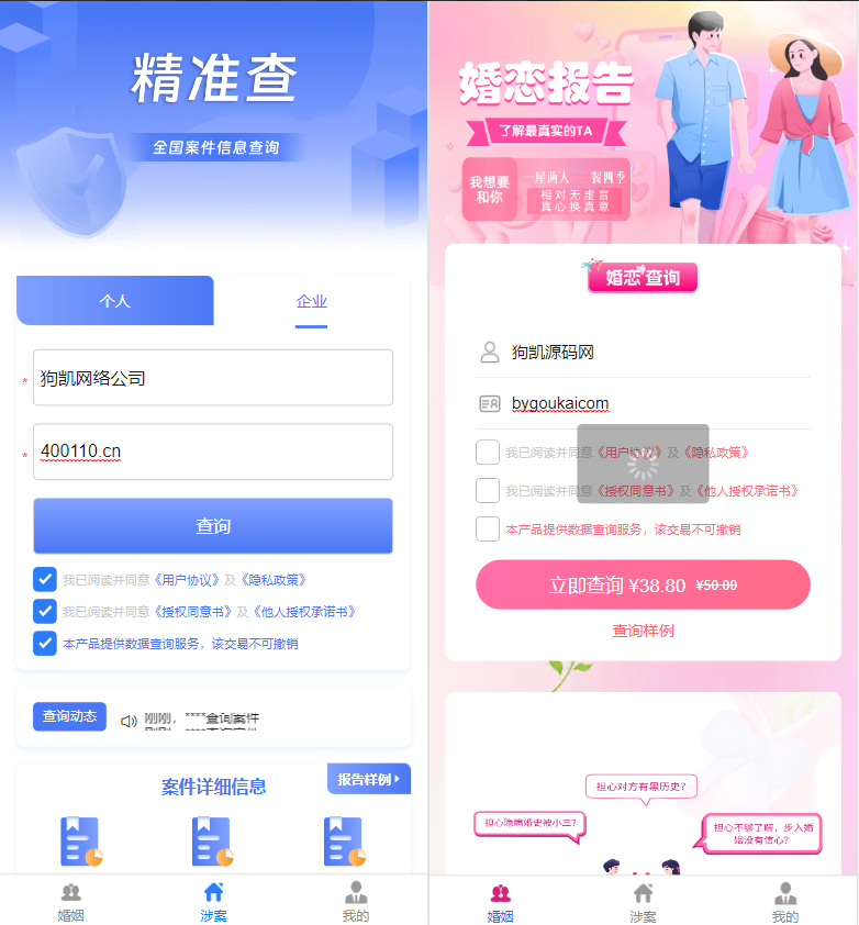 婚姻查询系统、个人企业案件涉诉案底查询系统网站源码