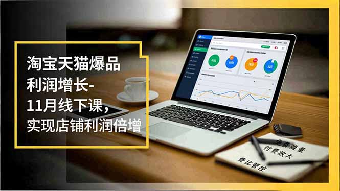 淘宝天猫爆品利润增长-11月线下课,免费流量、付费放大、费比管控,实现店铺利润倍增