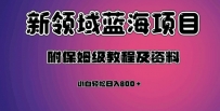 虚拟资源蓝海领域新项目，轻松日入800＋，附保姆级教程及资料