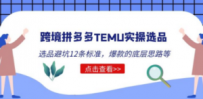 跨境拼多多TEMU实操选品运营方法，选品避坑12条标准，爆款的底层思路等