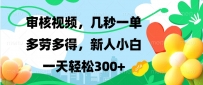 视频审核，新手可做，多劳多得，新人小白一天轻松300+